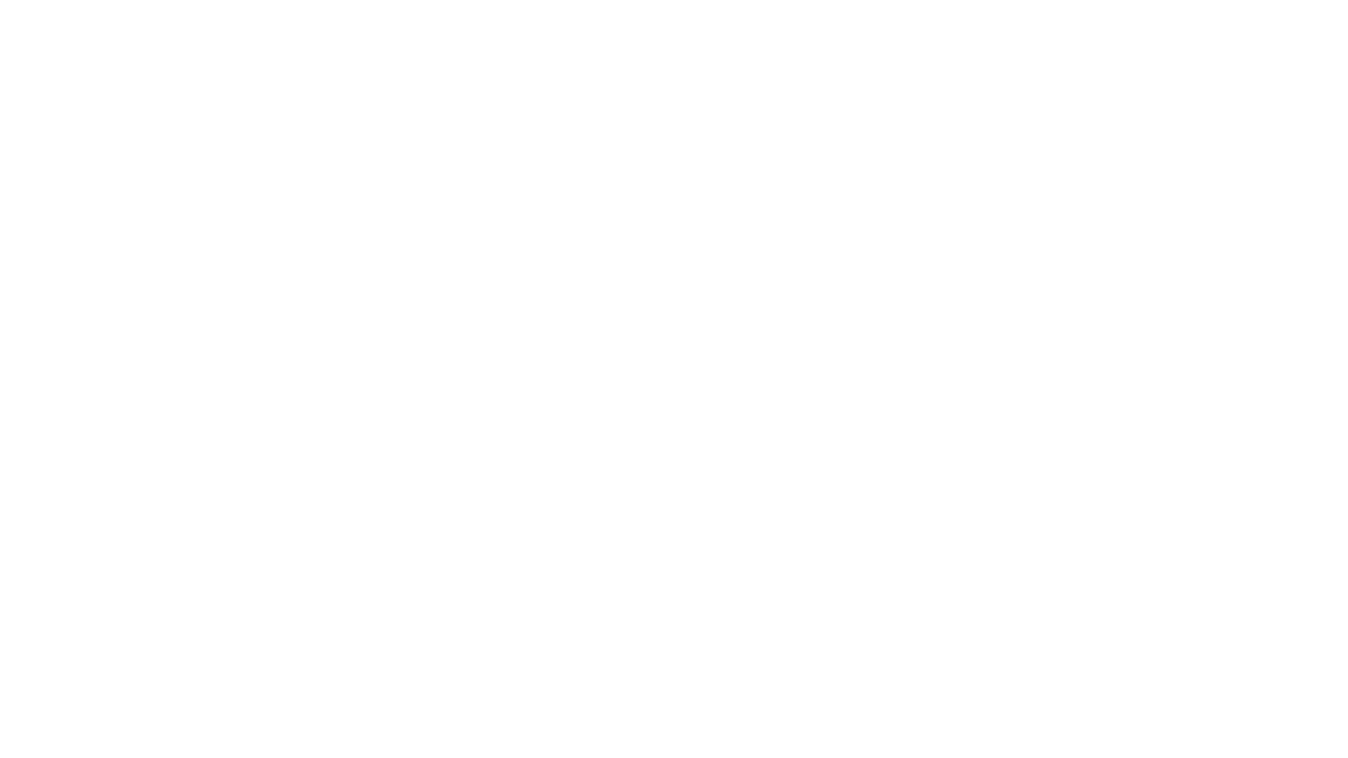 AXISFX PRO Logo